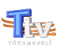 Türkmeneli TV